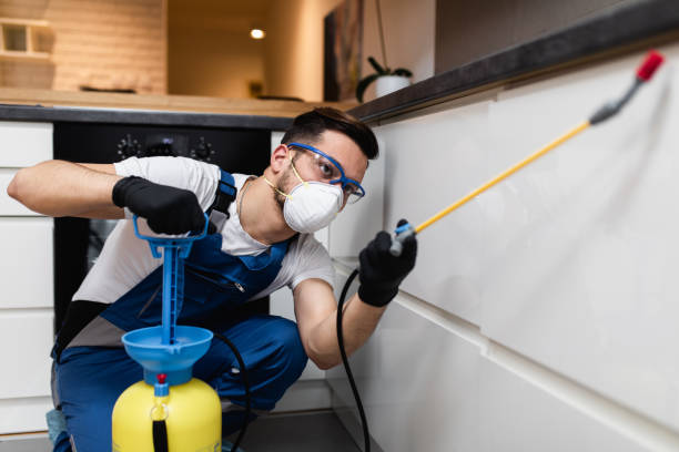 Best Ant Control Services  in Ravenna, MI