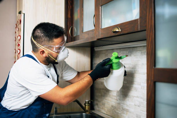 Best Affordable Pest Control Services  in Ravenna, MI