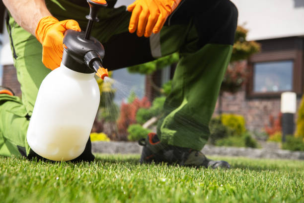 Best Best Pest Control Companies  in Ravenna, MI