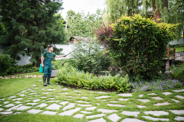 Best Residential Pest Control  in Ravenna, MI