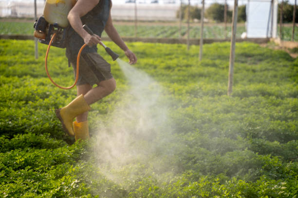 Best Best Pest Control Companies  in Ravenna, MI