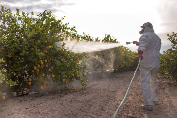 Professional Pest Control in Ravenna, MI
