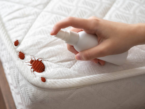 Pest Control for Restaurants in Ravenna, MI
