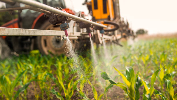 Best Local Pest Control Services  in Ravenna, MI