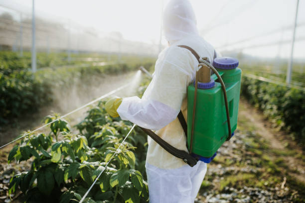 Best Affordable Pest Control Services  in Ravenna, MI